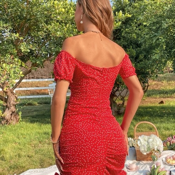 Polka Dot Ruffled Hem Dress - Picture 4 of 4